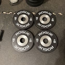 Rogue 10lb dumbbell bumpers
