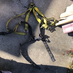 MSA Fall Harness