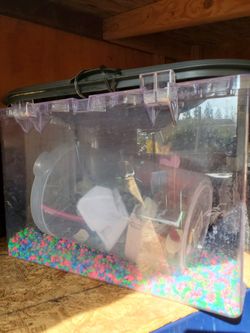 Aquarium 5 Gallon With Pump Light Rocks