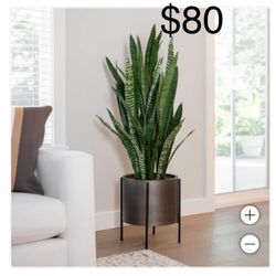 Artificial Snake Plant 