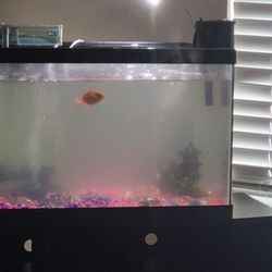 Fish Tank With Accessories And Stand 