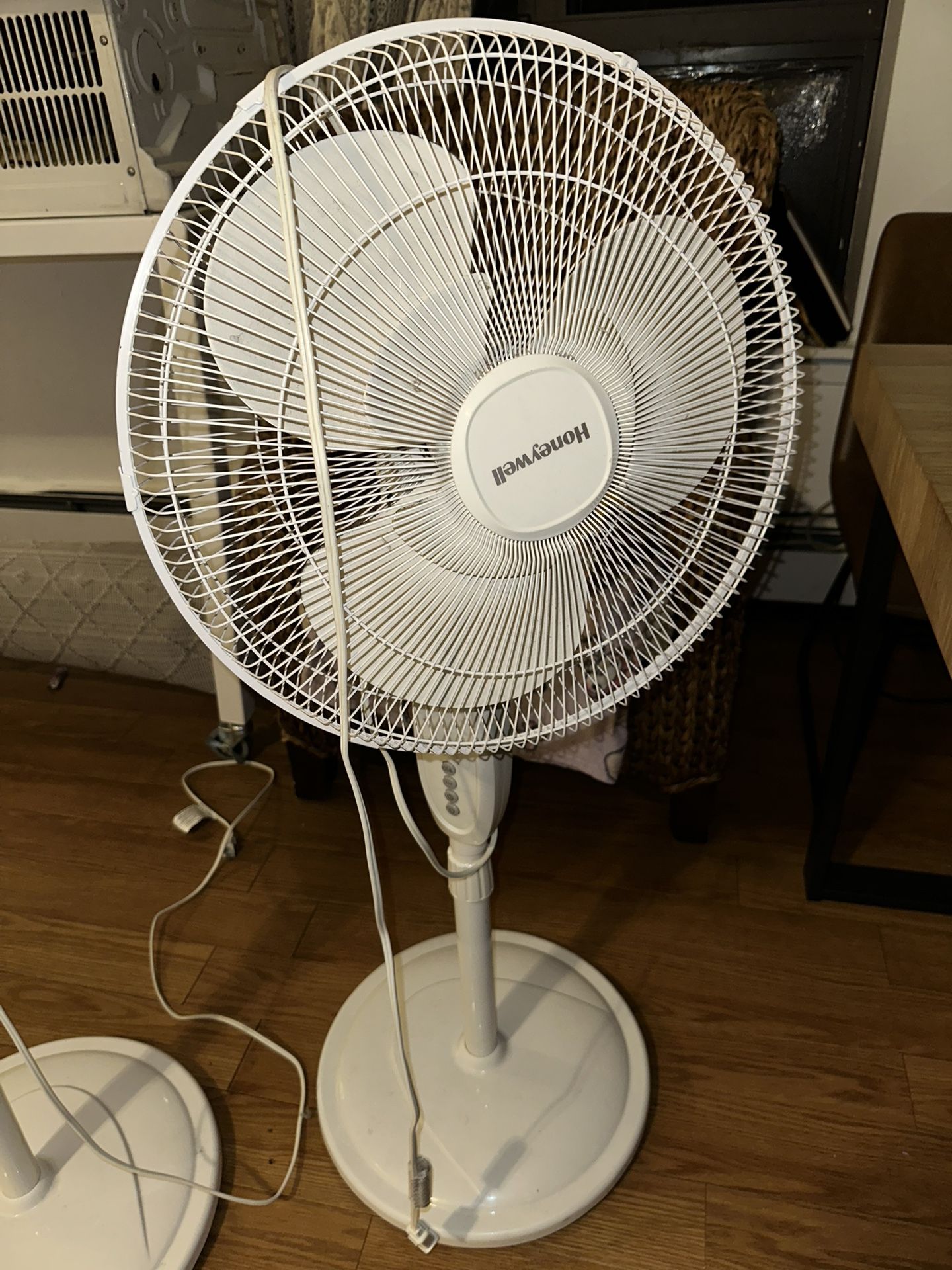 Fan