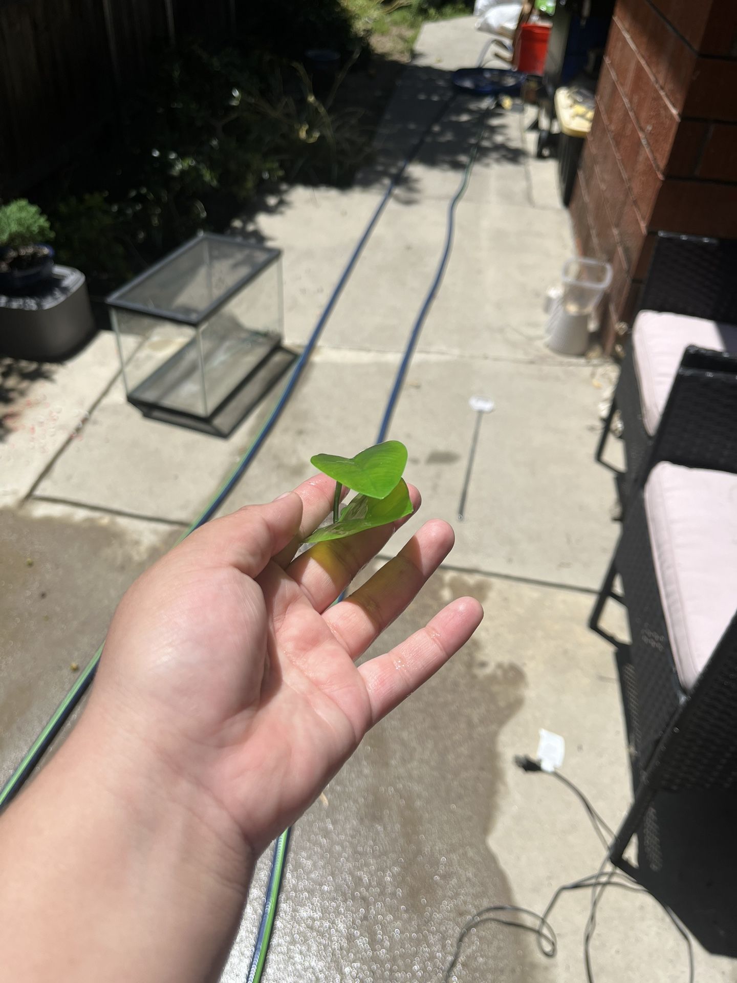 4 Leaf Hammocks Bundle