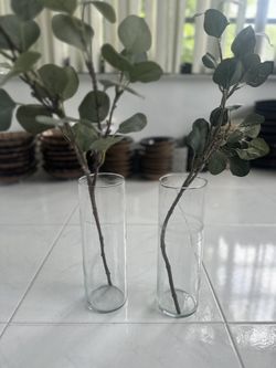2 Cylinder  Vases  