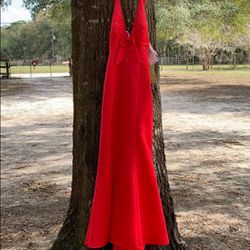 Gorgeous Watermelon Red Mermaid Gown Size 6