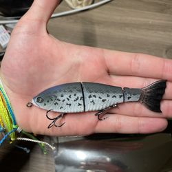 Googan Baits Jr. Contender (Fishing)