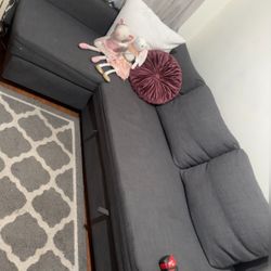 Couch Sleeper Sectional 
