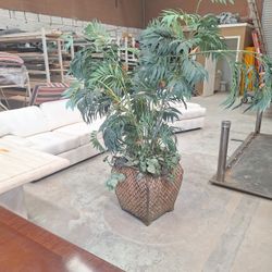 Large Fauc Plant