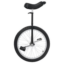 Unicycle - Never Ridden