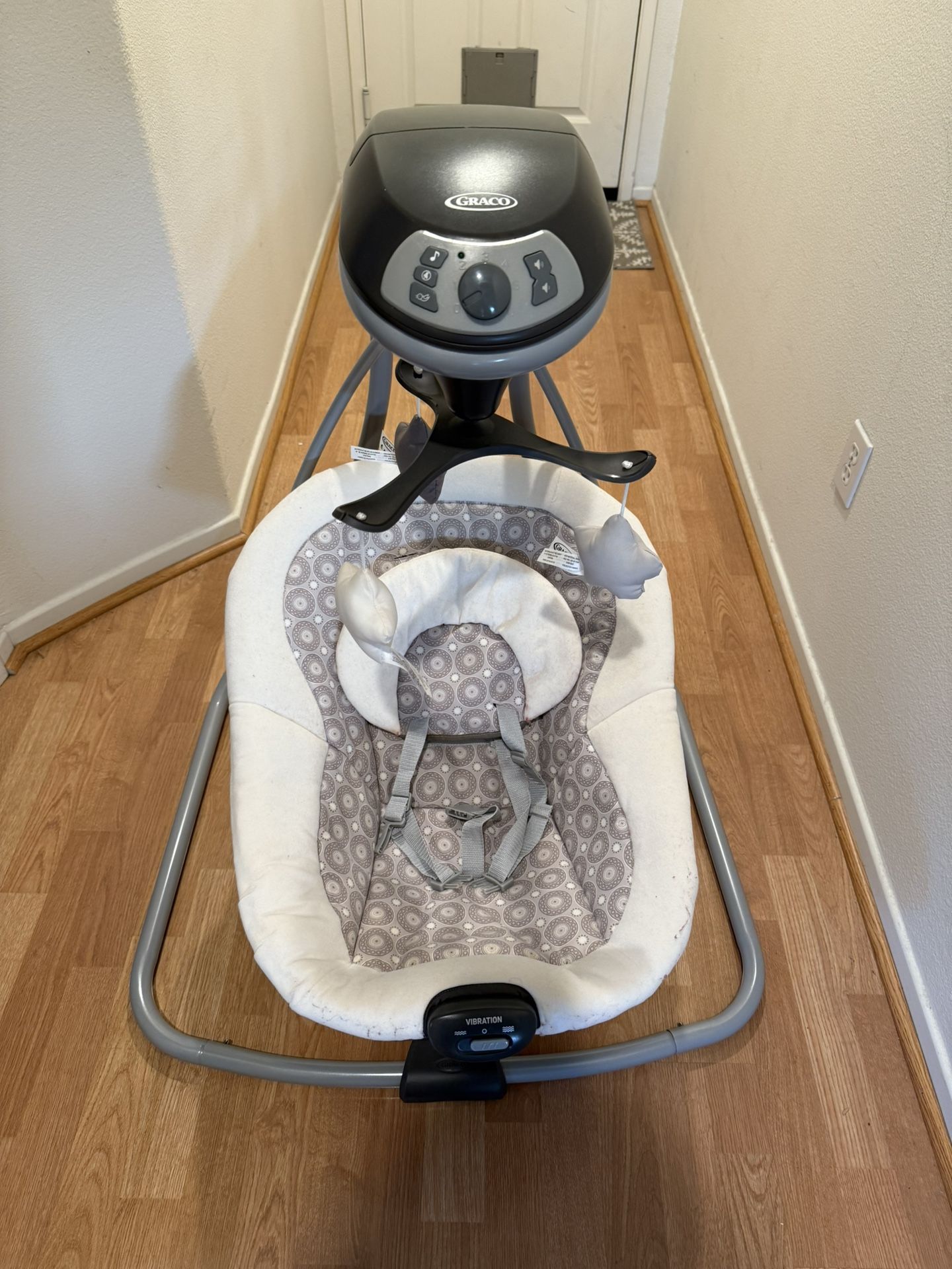 Graco Baby Swing