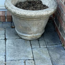 Concrete Flower Pots