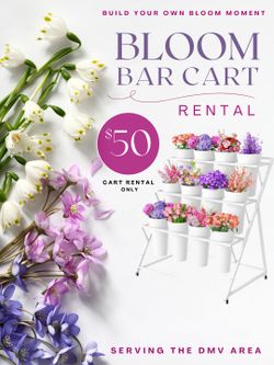 RENT Bloom Bar - Largo, MD