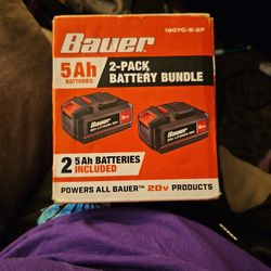 2-Pack Battery Bundle