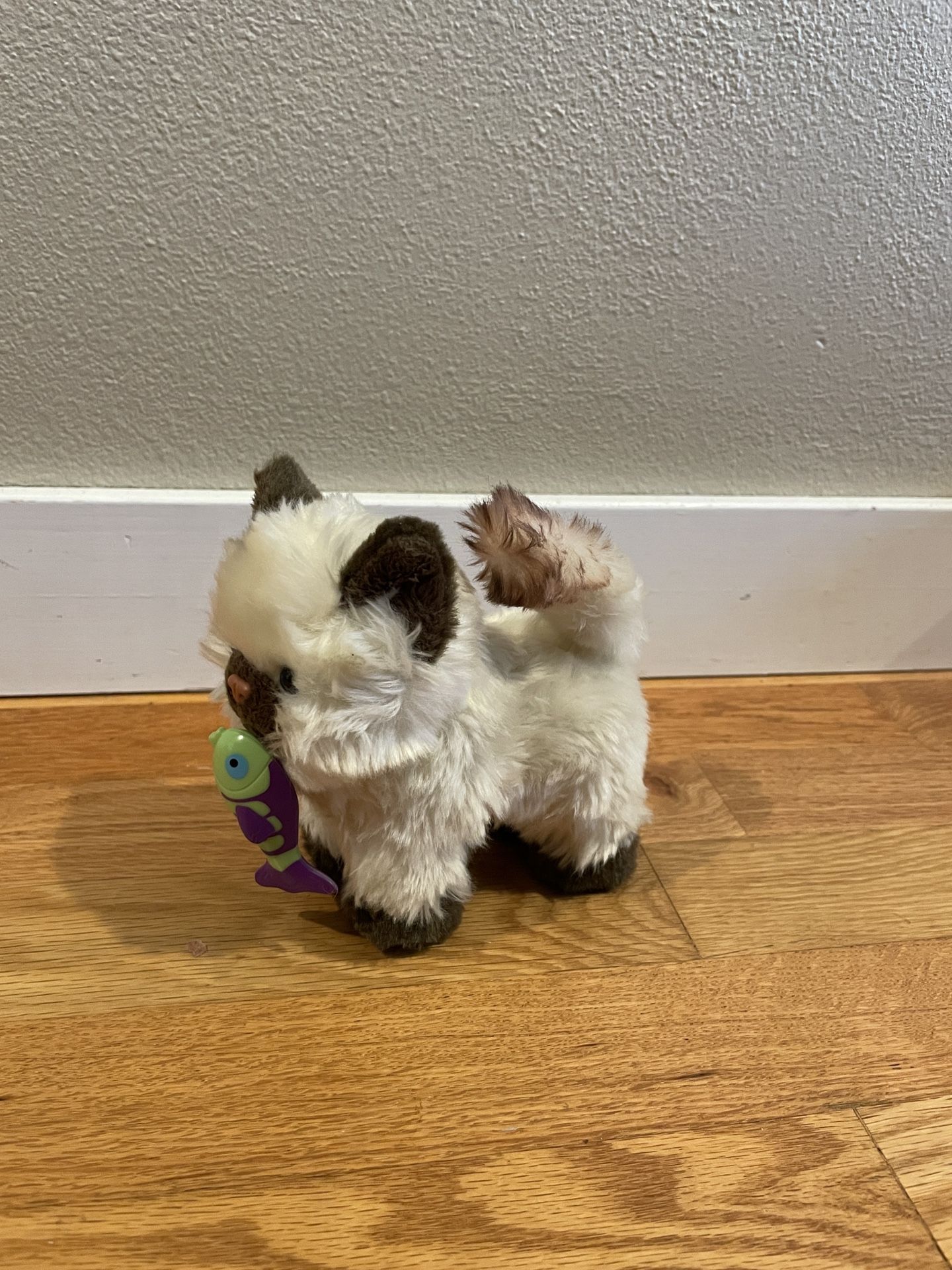 American Girl Posable Kitten