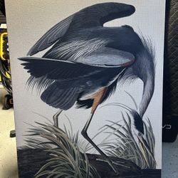 Great Blue Heron Print On Canvas