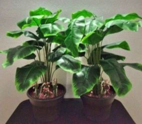 *** CLEARANCE *** 28" Faux Potted Plants w Watermelon / Clear Stone & Lavender / 9" Planters ($20 / 2 for $30) @ Lasting Creations