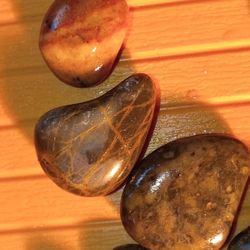 Unique Beach & River Gem Pebbles 