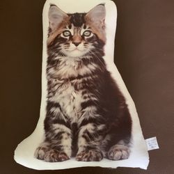 Cat Theme Items