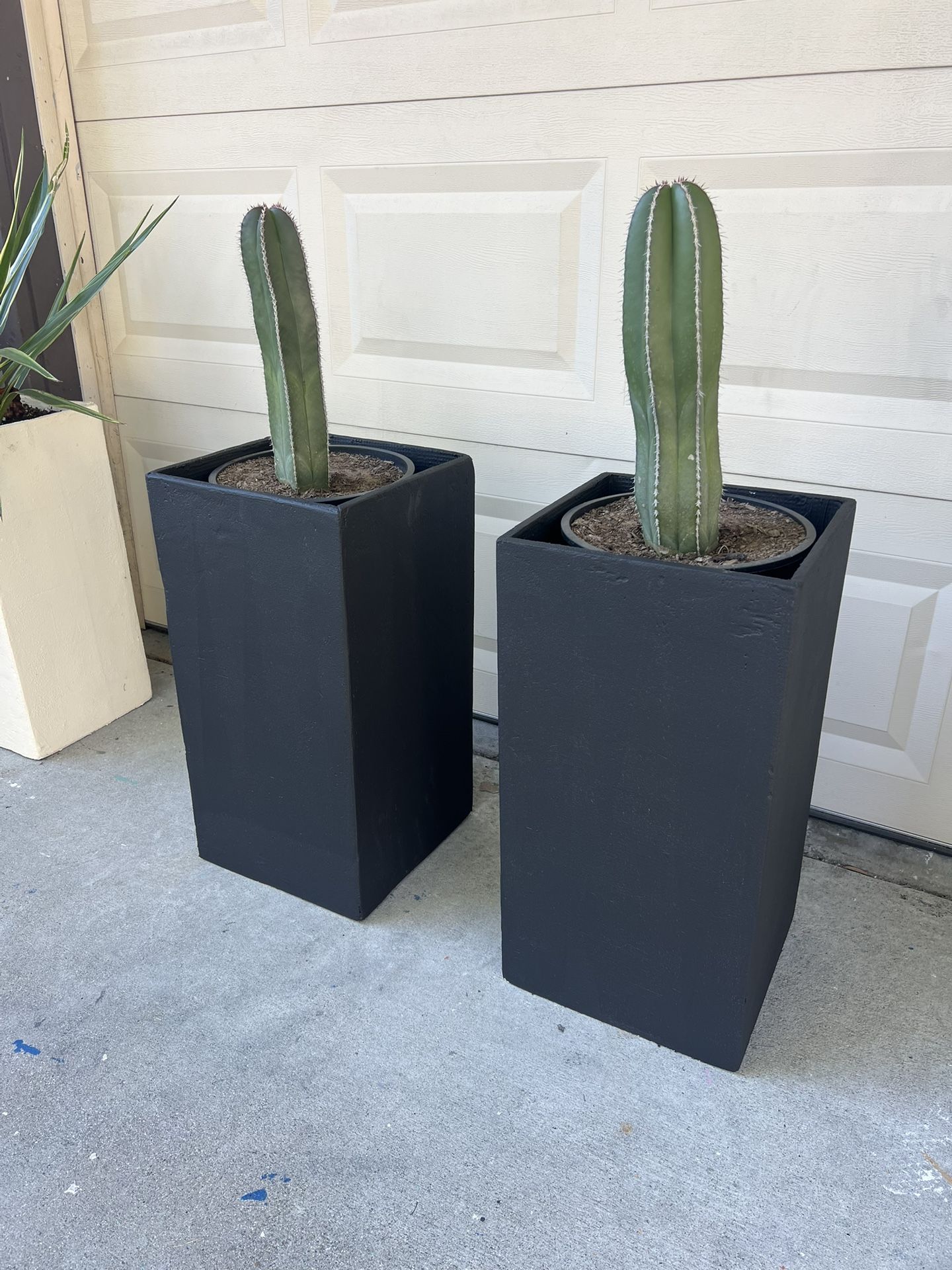 🌵 Stucco-Based Planter Boxes – $80 Each (Includes Plant)