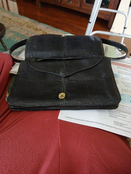 Black Skin Bag