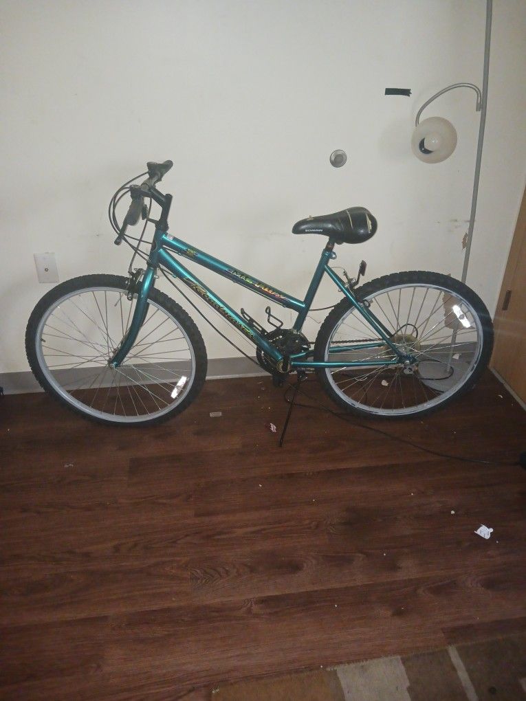 Slightly Used Adult Bicycle