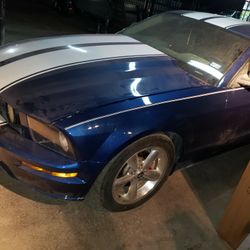07 Mustang/read Description