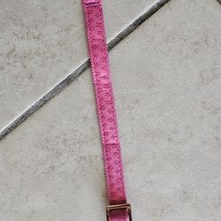 Dog Collar 