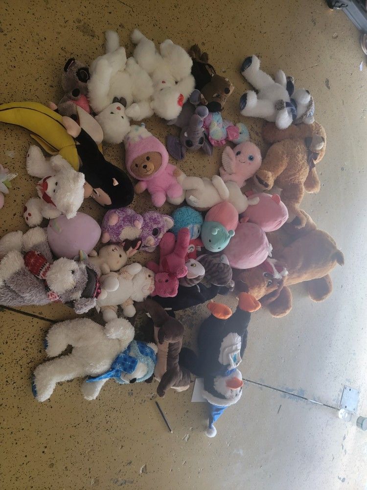 Squishmallows & Plushies