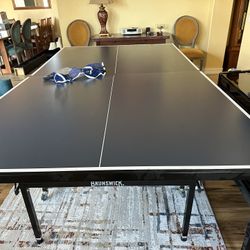 Ping Pong Table 