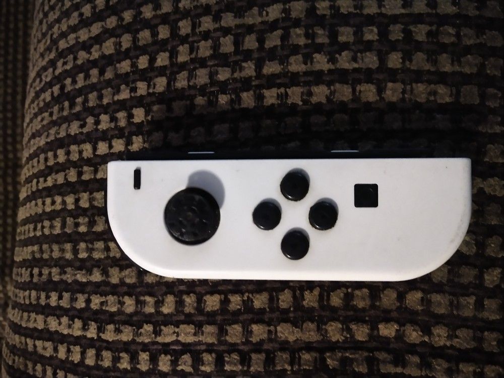Nintendo Switch Controller