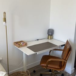 Electric Standing Desk + Leather Office Chair