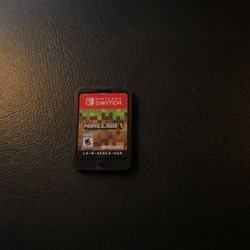 Minecraft Nintendo Chip 
