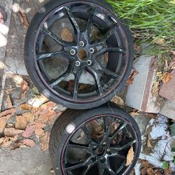 Type R Stock Rims 