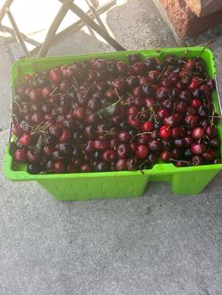 Cherri dulces $15  bote