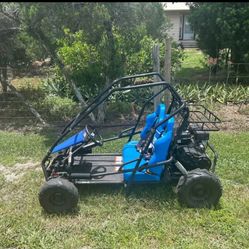 Coleman Go Kart