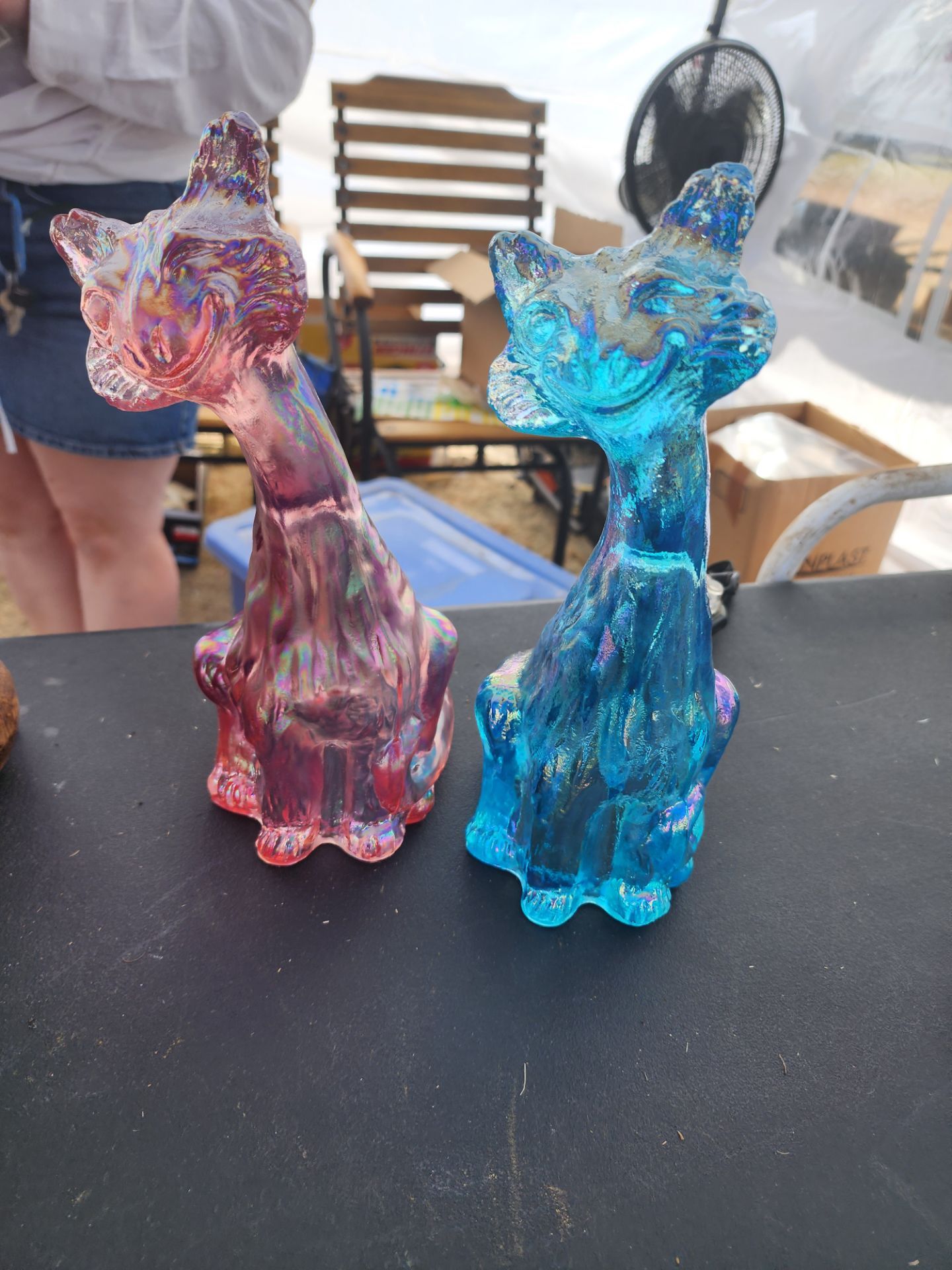 Antique alley cat carnvial glass