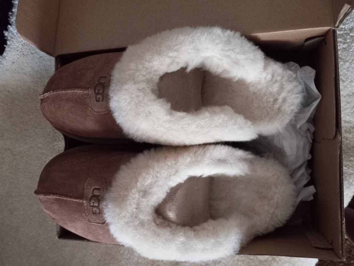 UGG's