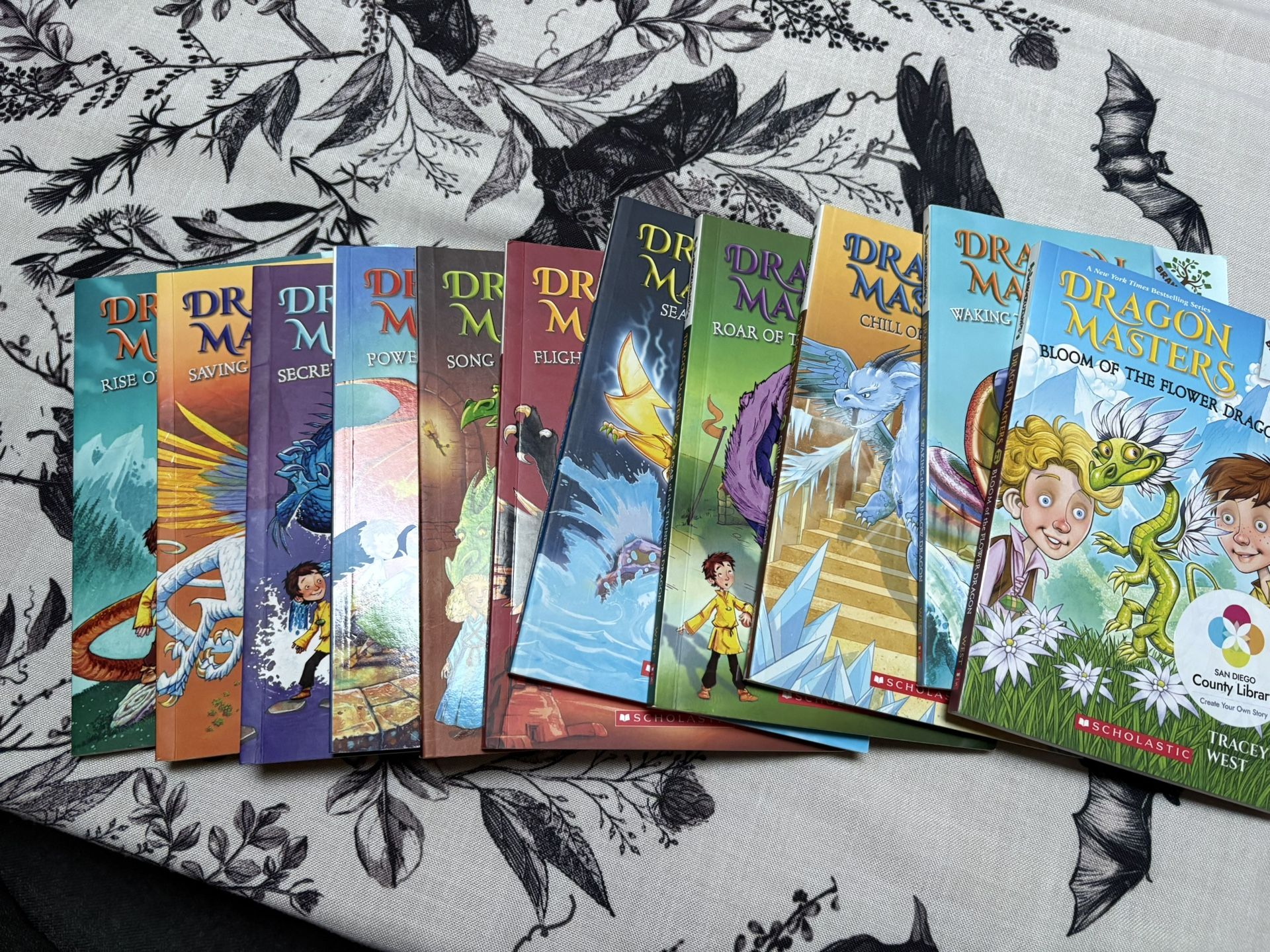 Dragon masters Book Series 1-10+21