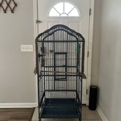 Parrot Cage 