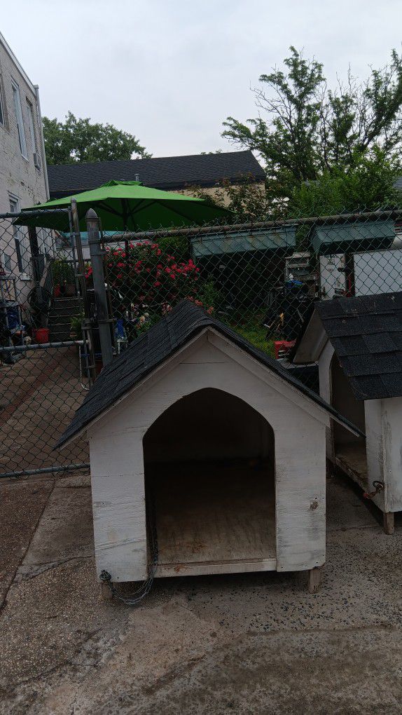 Home Made Dog Houses Heavy And Very Durable