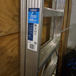 Werner 8ft Ladder 