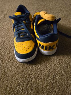 New Big Nike low top shoe