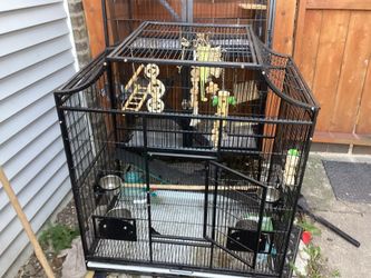 Large Animal Cage.