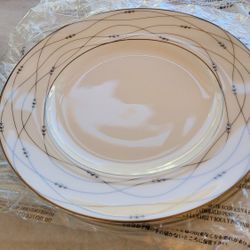 ROYAL DOULTON PRECIOUS PLATINUM