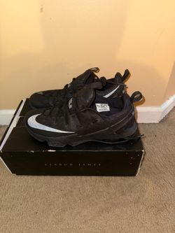 Lebron 13 Triple Black Size 12