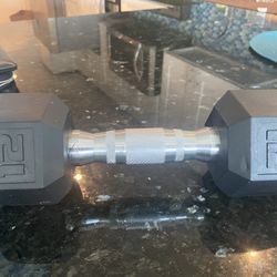 One Dumbbell Weights 12 Pounds