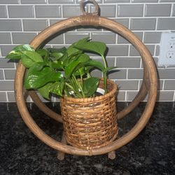 Filipino Bamboo Planter 