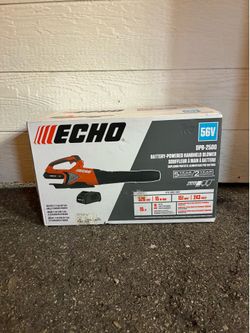 Echo