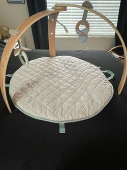 Ingenuity Activity Gym