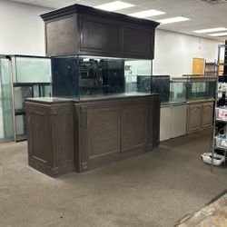 210 Gallon Saltwater Aquarium 
